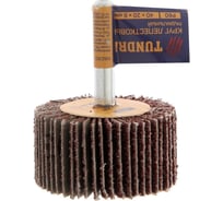 Круг лепестковый радиальный (40х20х6 мм; Р60) ТУНДРА 5162352