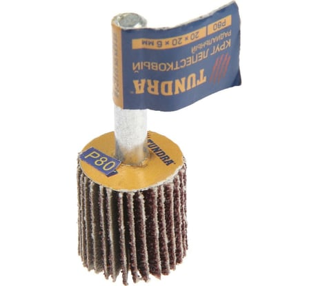 Круг лепестковый радиальный (20х20х6 мм; Р80) ТУНДРА 5162347