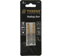 Биты намагниченные (2 шт; сталь S2; 58-60 HRC; TiN; PH3х50 мм) TUNDRA 1414805