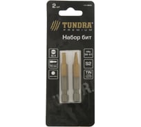 Биты намагниченные (2 шт; сталь S2; TiN; SL4х50 мм) TUNDRA 1414809