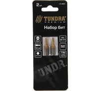 Биты намагниченные (2 шт; сталь S2; TiN; SL4х25 мм) TUNDRA 1414806