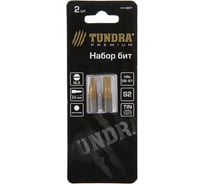 Биты намагниченные (2 шт; сталь S2; TiN; SL5х25 мм) TUNDRA 1414807