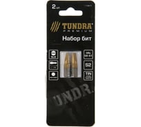 Биты намагниченные (2 шт; сталь S2; TiN; SL6х25 мм) TUNDRA 1414808