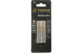 Биты намагниченные (2 шт; сталь S2; TiN; SL6х50 мм) TUNDRA 1414811