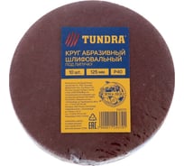 Круг шлифовальный абразивный под липучку (125 мм; Р40; 10 шт) ТУНДРА 1124370