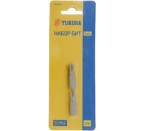 Биты намагниченные (2 шт; сталь CrV; PH2х25 мм) TUNDRA 1414789