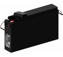 Аккумулятор фронт-терминальный WBR TPL121250 12 В, 125 А*ч WBR УТ-00000362