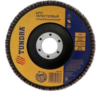 Круг лепестковый торцевой конический (125х22 мм; Р24) TUNDRA 2603087