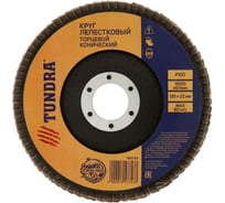 Круг лепестковый торцевой конический (125х22 мм; Р100) TUNDRA 1857753