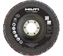 Диск лепестковый AF-D SP (125 мм; P36-40) Hilti 2243299