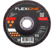 Круг лепестковый плоский (125х22 мм; Р40) Flexione 10000695