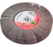 Круг лепестковый торцевой AMZ (125x20 мм; M14; P120) Toyev 004989