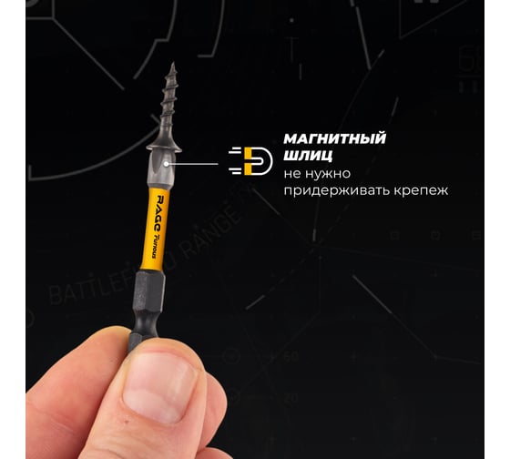 Биты торсионные RAGE Furious S2 PH2 x 50 мм, 10 шт 554277