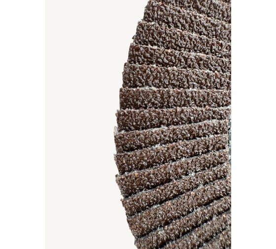 Круг зачистной лепестковый NORMAL (125х22 мм; P40) TIGER ABRASIVE 00-00000154
