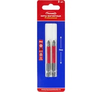 Бита Tsunami Professional PH2, 70 мм, 2 шт T26020010PH2070