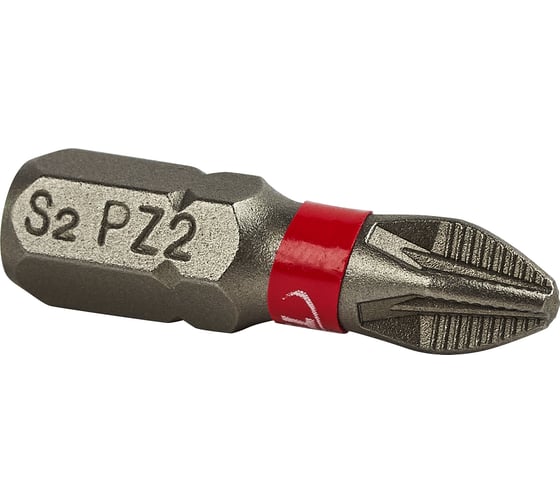 Бита Tsunami Professional PZ2, 25 мм, 2 шт T26020010PZ2025