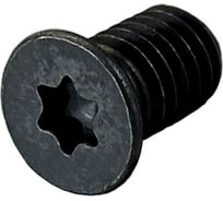 Винт для фрез M6x10 калёный, шляпка грибок, Torx ROTIS 963.M6110