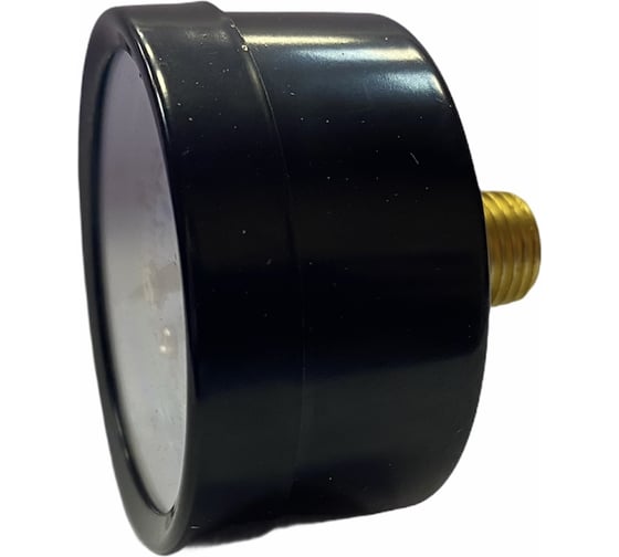 Манометр для компрессора 50 мм 1/4 Pegas pneumatic 4802