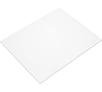 Стекло защитное из поликарбоната 119х98х1 мм, 5 шт 8594