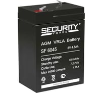Аккумуляторная батарея Security Force SF 6045
