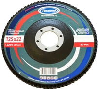 Круг лепестковый конический Tsunami КЛТ2 125x22 мм, А80 (14А 20/Р80) D96100000K12580