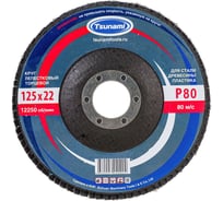 Круг лепестковый конический Tsunami КЛТ2 125x22 мм, А80 (14А 20/Р80) D96100000K12580