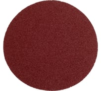 Диск шлифовальный самозацепляемый на липучке Pro Legend 125 мм, P-60, 5шт PL4928