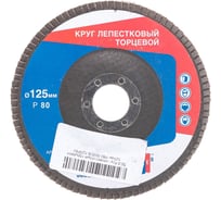 Круг лепестковый торцевой (125 мм; Р80) SEB 503KS-125P80