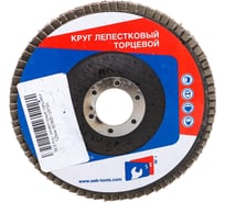Круг лепестковый торцевой (125 мм; Р24) SEB 503KS-125P24