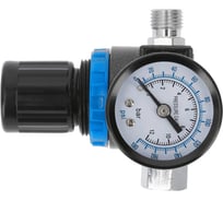 Регулятор давления с манометром (1/4"; 12 бар) HOEGERT TECHNIK HT4R873