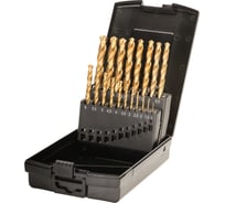 Набор сверл по металлу (19 шт; 1-10 мм; HSS-G TiN) Terrax by RUKO A250214TRO