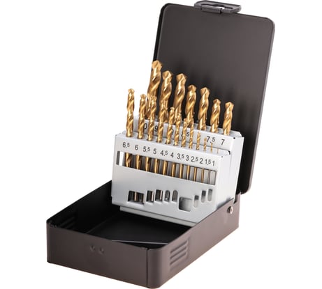 Набор сверл по металлу (19 шт; 1-10 мм; HSS-G TiN) Terrax by RUKO A250214T