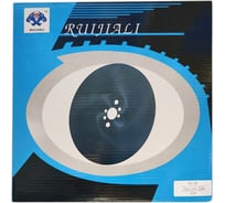 Отрезной пильный диск по металлу из быстрорежущей стали RUIJIALI HSS DMo5 M2 VAPO 250x2.0x32 200 BW 11406
