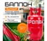 Баллон бытовой ОАО "НЗГА" 27 л. (с ВБК-2) НЗГА НЗ 206.00.00-05 2