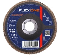 Круг лепестковый конический Flexione 125x22.2 мм, Р40 10000498