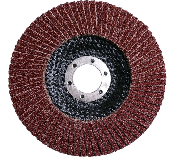 Круг лепестковый конический Flexione 125x22.2 мм, Р40 10000498