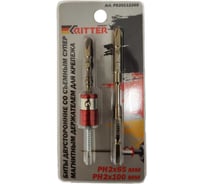 Биты двусторонние RITTER PH 2x65 и PH 2x100мм, специальный усиленный магнит, сталь S2, 2 шт. в блистере PS20112269