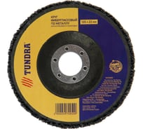 Круг фиберглассовый по металлу для шлифовки и полировки (125х22 мм) TUNDRA 5470950