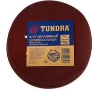 Круг абразивный перфорированный шлифовальный под "липучку" (5 шт; 150 мм; Р150) TUNDRA 5354669