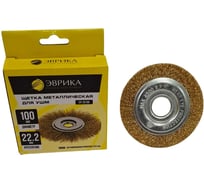 Щетка для УШМ ЭВРИКА 100мм, 22.2мм, плоская стальная проволока 0.3мм ER-28100