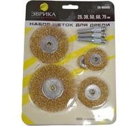 Набор щеток для дрели Эврика 5пр. в блистере 4500 об/мин. ER-90005 669950