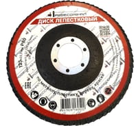 Круг зачистной лепестковый Профессионал 125х22.2 мм, P80 12580