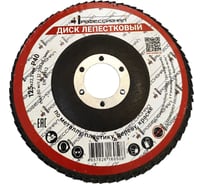 Круг зачистной лепестковый Профессионал 125х22.2 мм, P40 12540