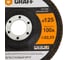 Круг лепестковый GRAFF 125 мм, 100А, по металлу 95125100 3