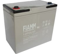 Батарея аккумуляторная (12 В; 55 Ач) FIAMM 12FGL55