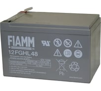 Батарея аккумуляторная (12 В; 12 Ач) FIAMM 12FGHL48
