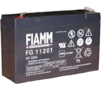 Батарея аккумуляторная (6 В; 12 Ач) FIAMM FG11201