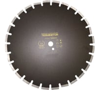 Диск алмазный сегментированный (600х25.4х10х4.0 мм; асфальт) TERMINATOR 2060040254-14 (LWUD2600)*