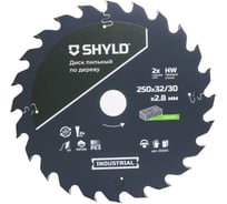 Пильный диск SHYLD по дереву твердосплавный 250x32/30 мм, 24 зуба 6692474