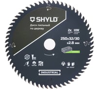 Пильный диск SHYLD по дереву твердосплавный 250x32/30 мм, 60зубьев 6692476